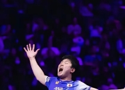 张本智和刷新里程碑，广厦男篮常规赛力克菲尼克斯太阳，晋级概率达70％的简单介绍