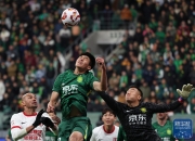 球员们在场上兢兢业业，努力为球队争取胜利的简单介绍